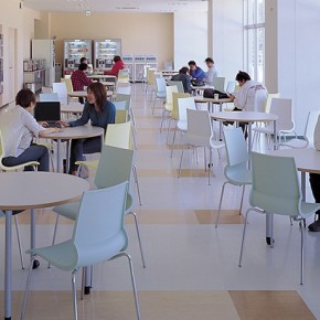 NIHON FUKUSHI UNIVERSITY